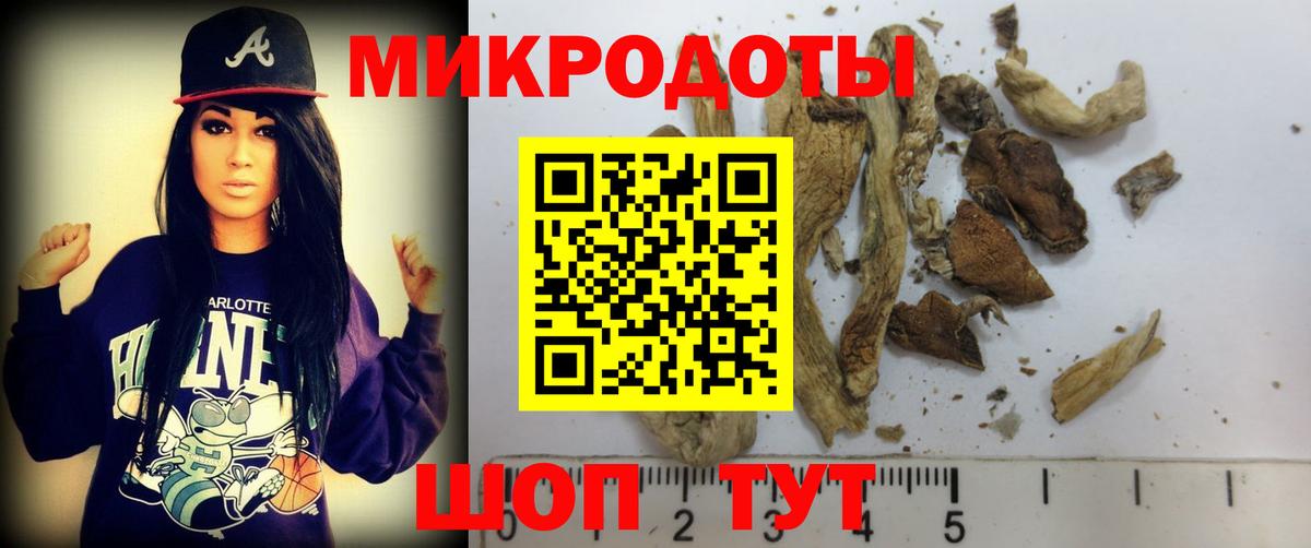 Топки  Псилоцибиновые грибы MAGIC MUSHROOMS  Галлюциногенные грибы Cubensis  Вход с VPN 